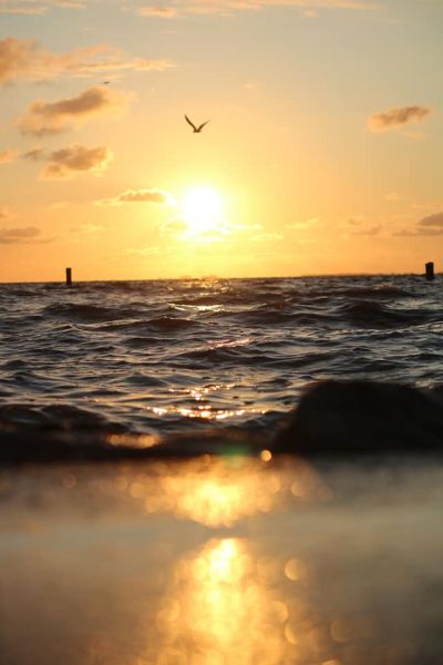 Nordeich / g_1_0_349185195_6466235246732311_2138108032654159132_n.jpg