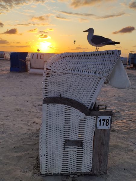 Nordeich / g_1_0_361591712_6421397841247700_436865533765575498_n.jpg