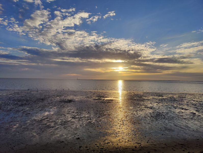 Nordeich / g_1_0_361639019_6421398691247615_3336722512256191700_n.jpg